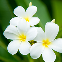 沖縄本島南部へのアクセスも最適。